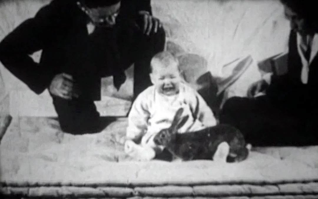 Terapia accesible, enment